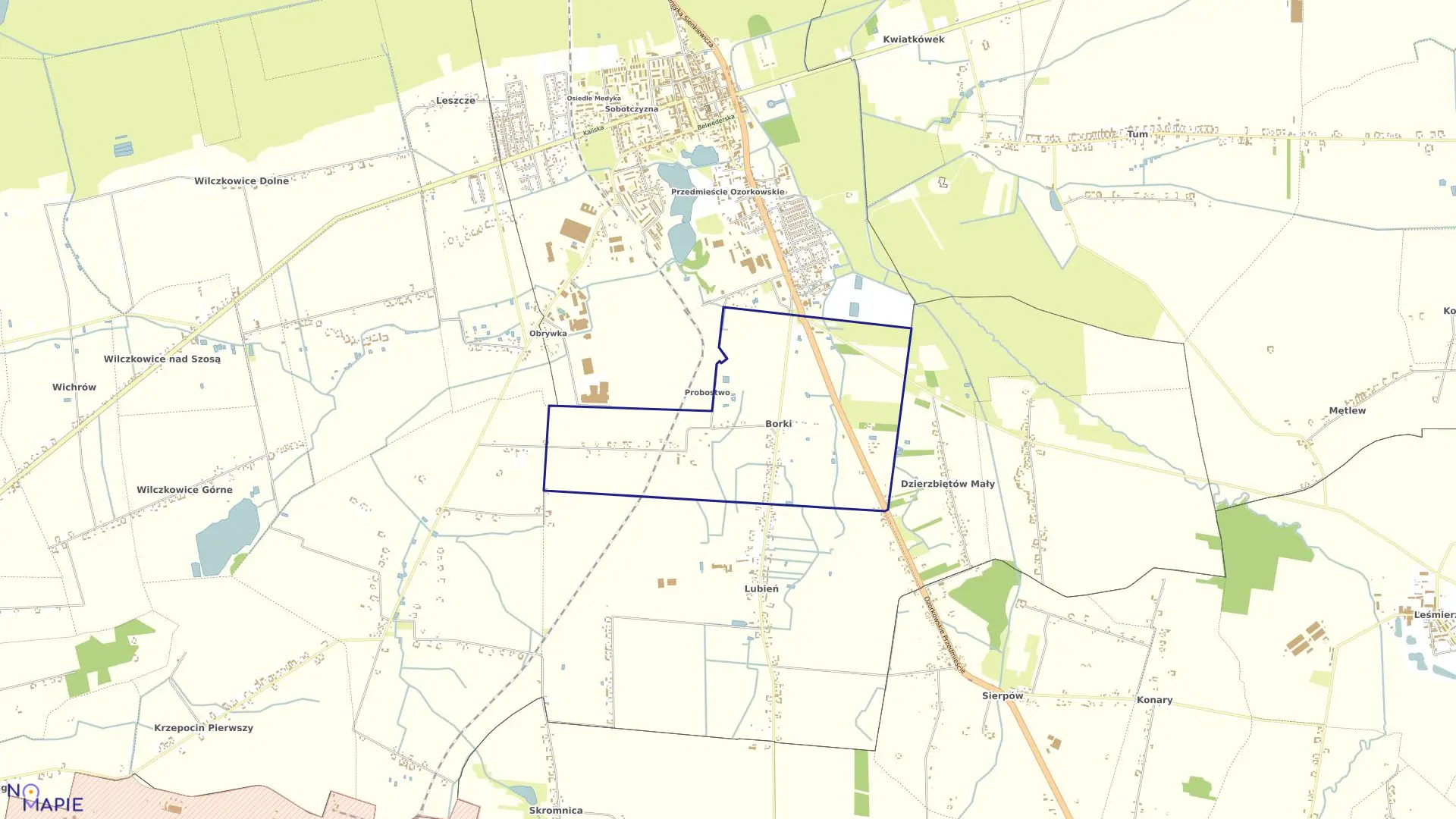 Mapa obrębu BORKI w gminie Łęczyca