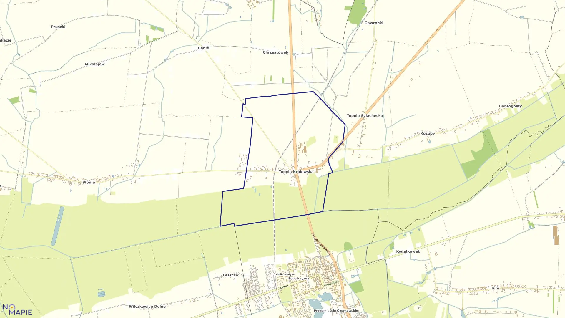 Mapa obrębu TOPOLA KRÓLEWSKA w gminie Łęczyca